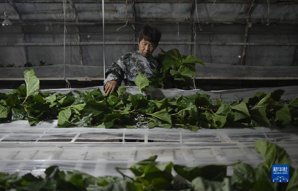 大奖游戏网址